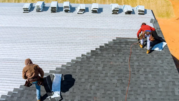 Shingle Roofing Services