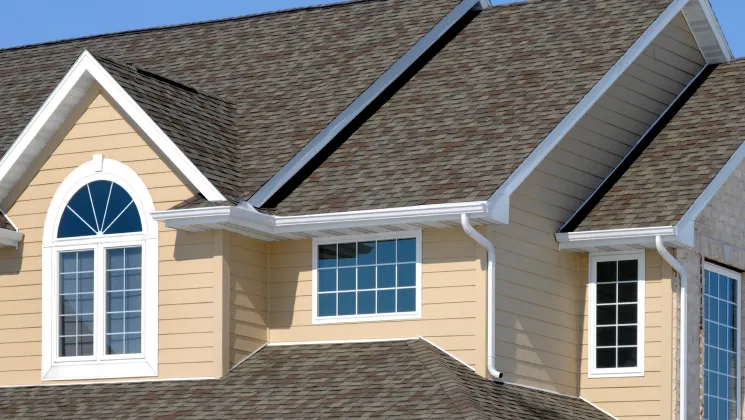 Window Replacement Services